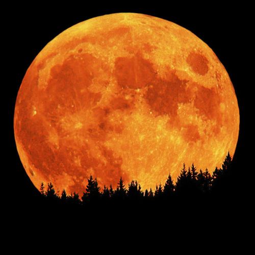 “Biggest full moon in 19 years